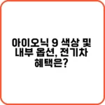 아이오닉 9 사전 예약 혜택