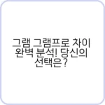그램 프로 외장 그래픽 성능