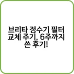 브리타 정수기 필터 교체 주기, 놓치면 큰일!